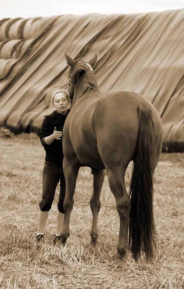 Kinezyterapia - Fit4Horses