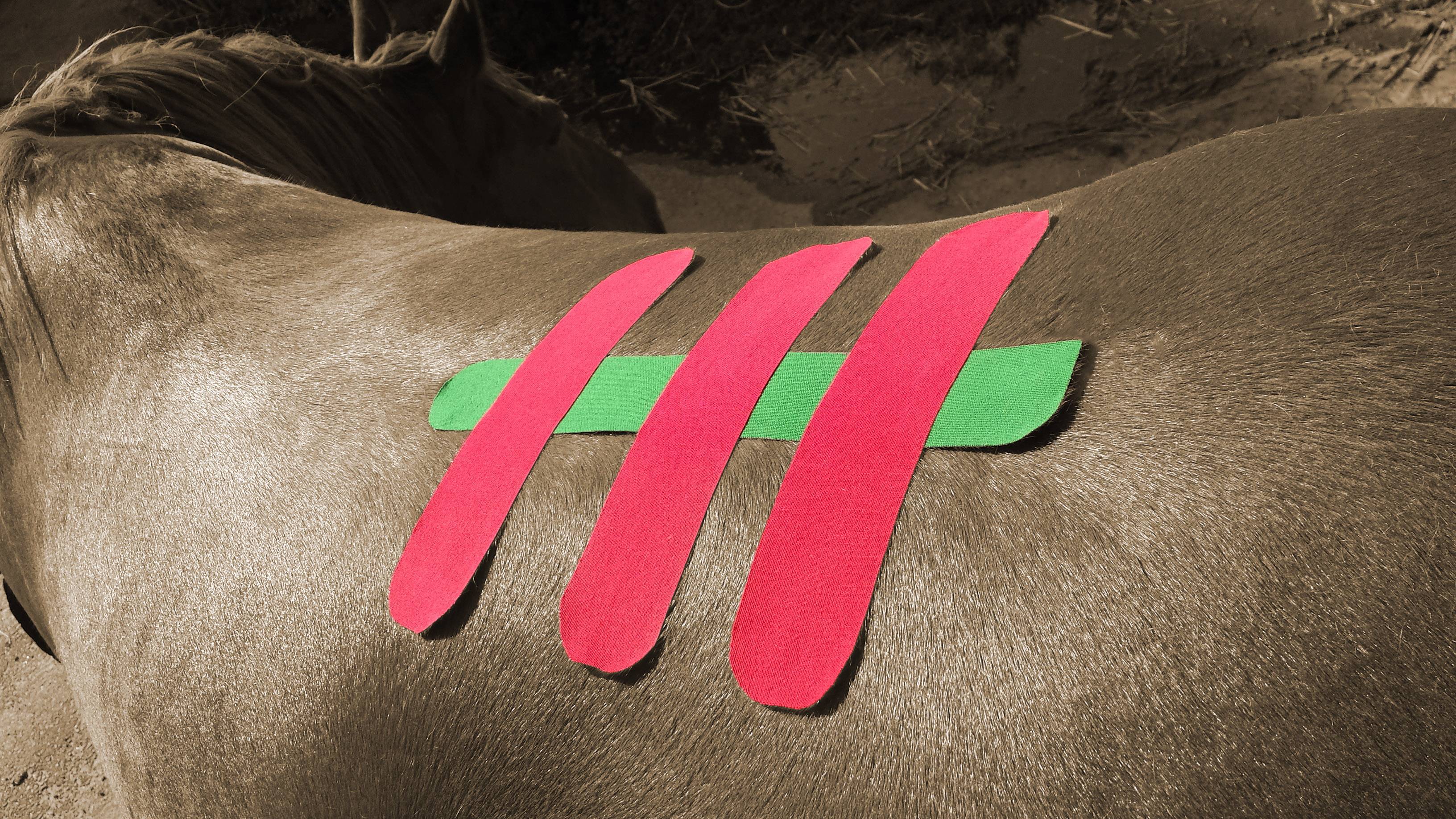 kinesiotaping