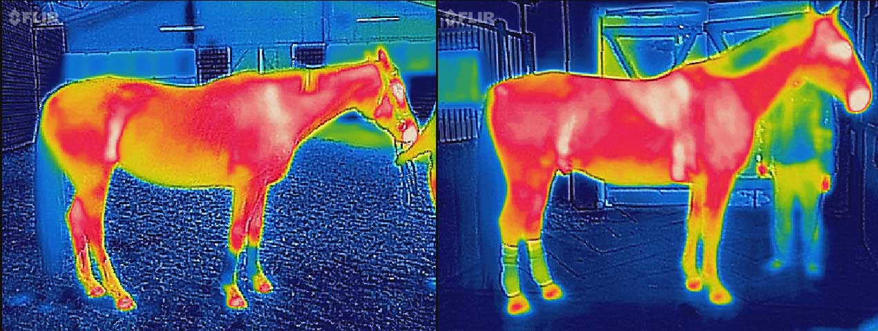 flir_20170216T114707
